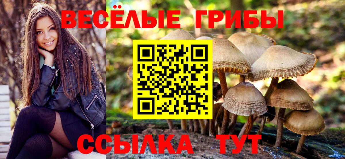 Псилоцибиновые грибы прущие грибы  Вход с VPN  Галлюциногенные грибы ЛСД  Урай 